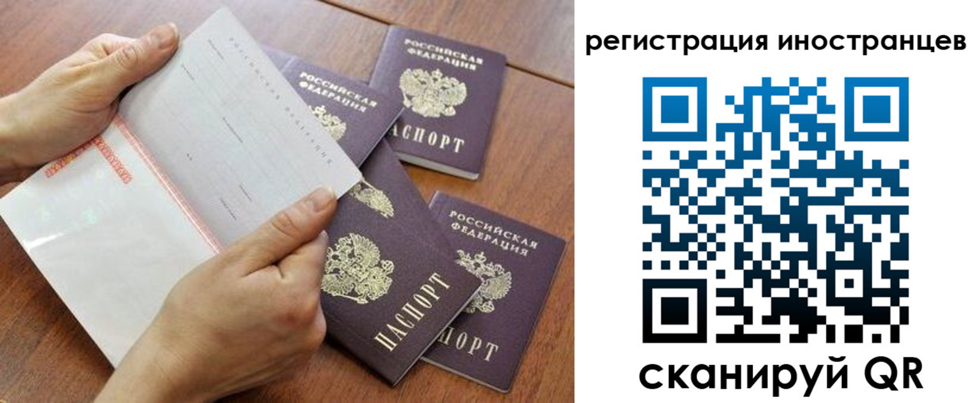прописка поиск в Пикалёво